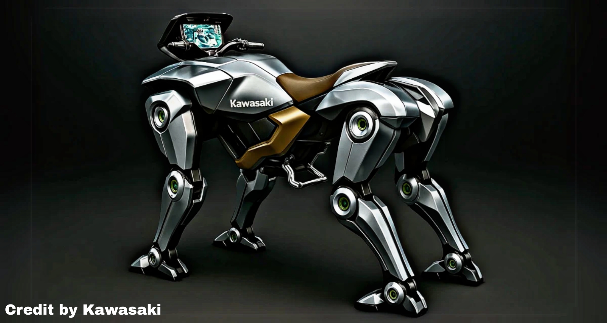 Kawasaki Corleo Robot